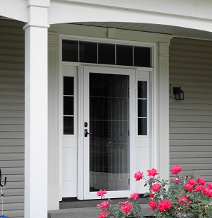 storm door