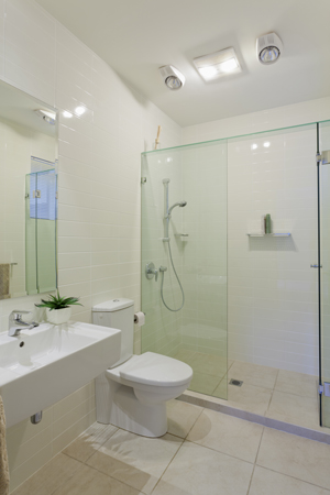 walk in showers in Southern Michigan