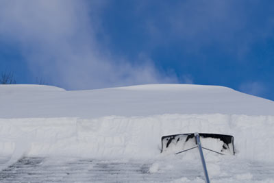 Roof Rake in Holland